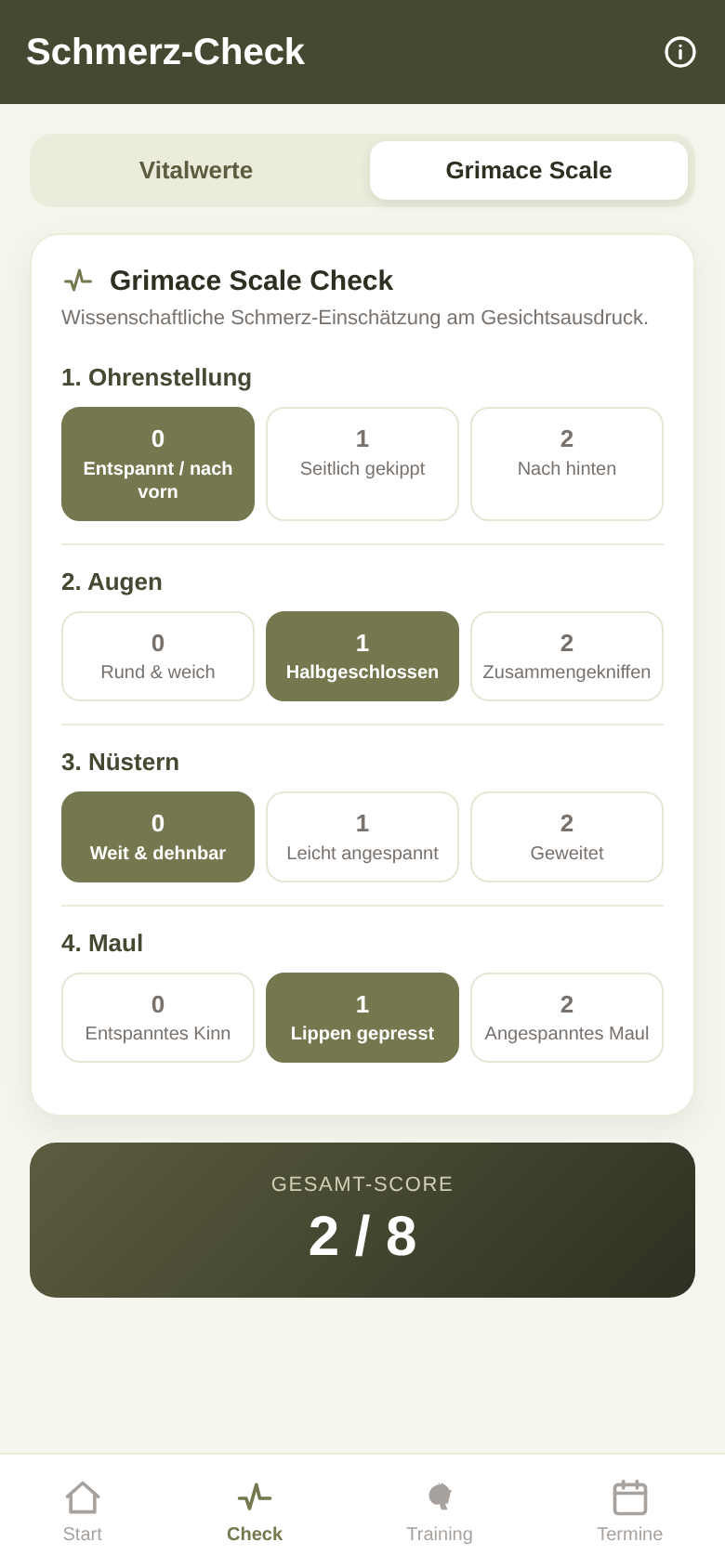 Schmerz-Check